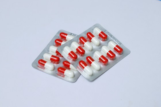 Supplement